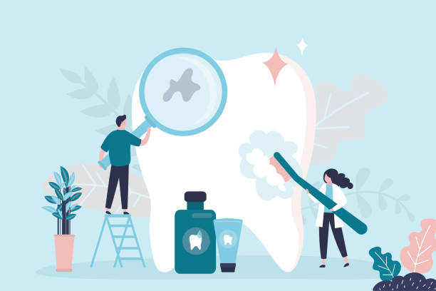  Head Of The Harbor, NY Dental Services Pros